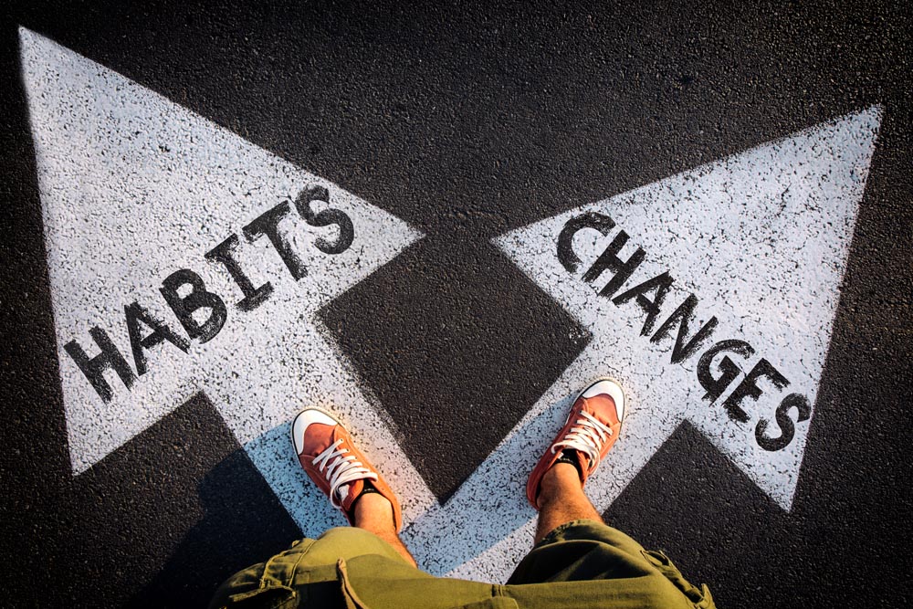 De Transitie Studio maakt transformaties mogelijk | Breng jouw organisatie naar een hoger niveau met De Transitie Studio