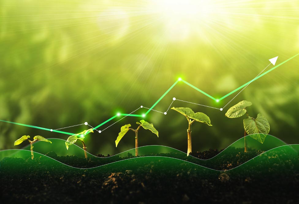 De Transitie Studio maakt transformaties mogelijk | Breng jouw organisatie naar een hoger niveau met De Transitie Studio